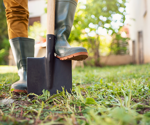 A photo of a person digging in a yard